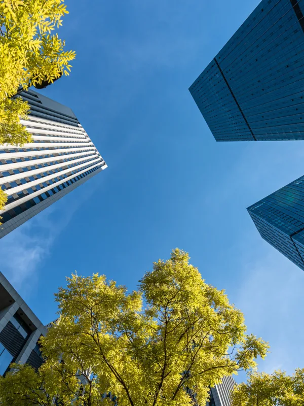 Low angle photography shot of skyscrapers and trees with a clear blue sky and subtle clouds.